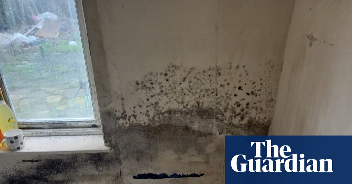 UN experts accuse one of England’s biggest social landlords of habitability failings