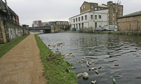 ‘Only 14% of England’s rivers reach good ecological standards’: the River Lea in Stratford, east London
