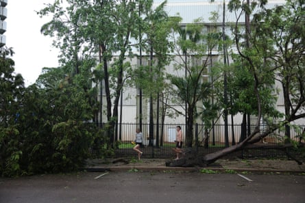 Giant trees have been ripped from their roots in Darwin CBD