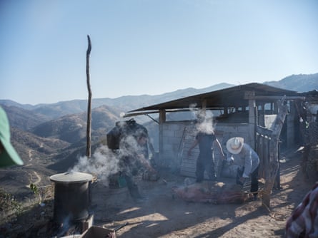 Relatives of Benjamin prepare a pig for slaughter