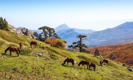 Bare peaks and grassy uplands with wild ponies in Pollino national park.
