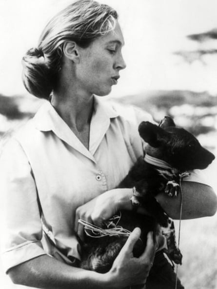 Jane Goodall with a wild dog pup.