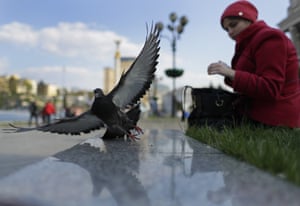 A woman feeds a pigeon on the day of the hotly contested presidential election in Ukraine