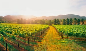 Hunter Valley wine region