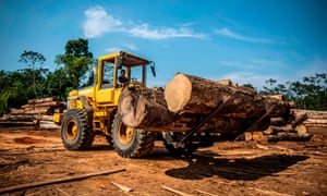 A sawmill in Peru's Madre de Dios region of the Amazon rainforest.