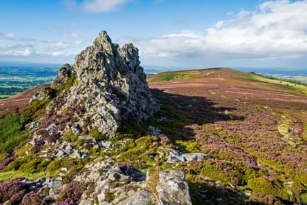 A jagged tor of quartzite on a purple heather-covered moor