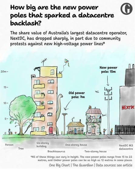 Illustrated diagram comparing the height of new steel and concrete power poles (15 metres) to old timber power poles (7 metres)