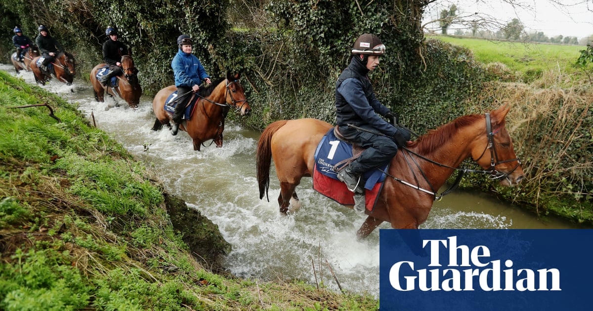 Talking Horses Gordon Elliott Cheltenham Team Plus Wednesday Tips Sport The Guardian