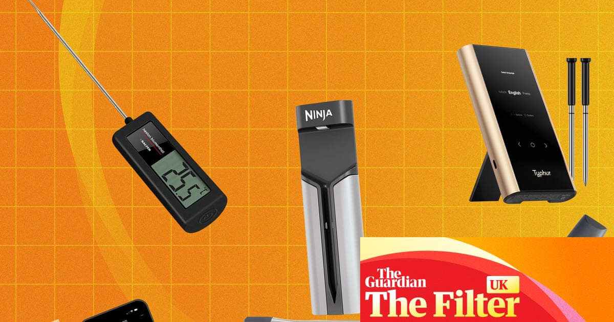 A meat thermometer transformed my cooking – here are nine of the best for roasts and barbecues