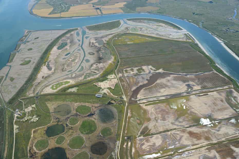 Aerial image of RSPB Wallasea Island Nature Reserve at low tide, Essex, July 2019