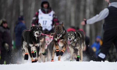 The Iditarod, the 52nd edition, takes place across Alaska.