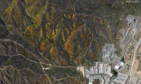 An overview of wildflower blooms in Palmdale, California.