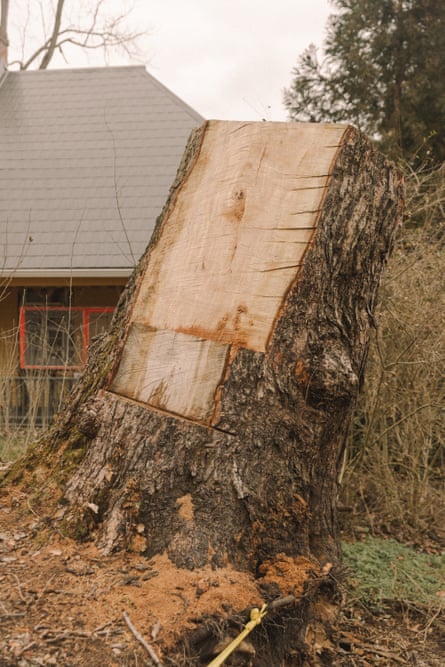 Tree damage in the Montford neighborhood of Asheville, North Carolina on March 6, 2025.