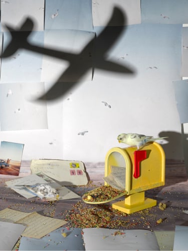 A mailbox next to a plane