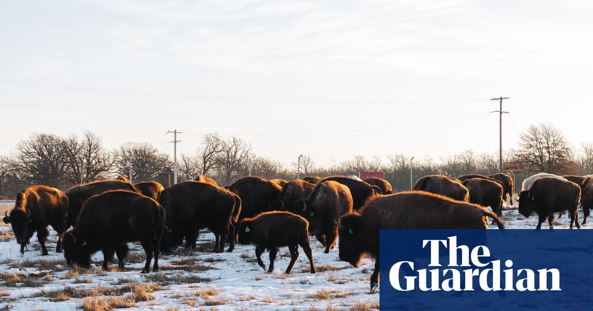 Mining made this US tribal area a toxic wasteland. This Indigenous nation brought it back to life