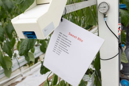 A piece of machinery with a laminated sheet of instructions hanging from it next to plants