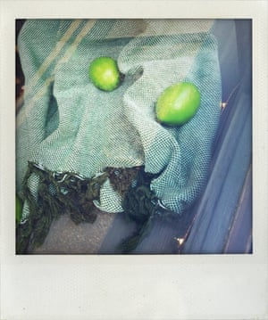 Scarf with random limes … shop window – Kent