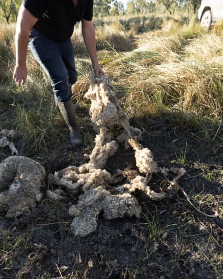 Jonathan Guyer with a sheep’s remains
