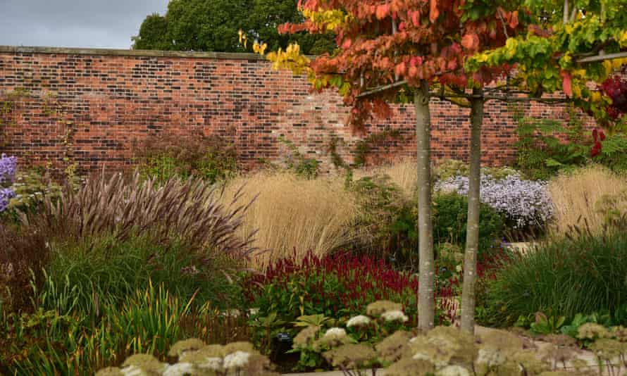 Autumn Flowers at RHS Bridgewater, Salford.