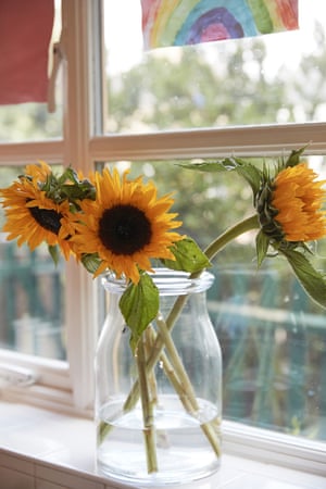 Sunflowers at Joanne's home