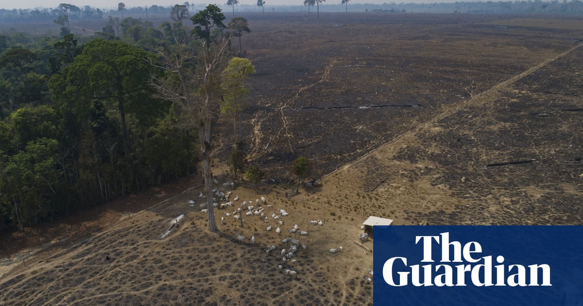 Bolsonaro slashes Brazil’s environment budget, day after climate talks pledge