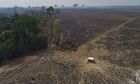 Bolsonaro slashes Brazil's environment budget, day after climate talks pledge
