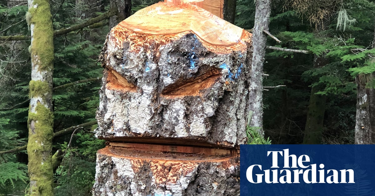 Chainsaw massacre: tree poaching hits Canada amid lumber shortage