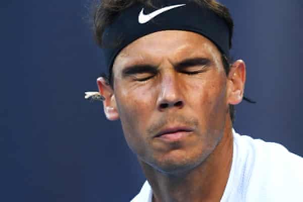 A bogong moth flies into Rafael Nadal during the 2017 Australian Open.