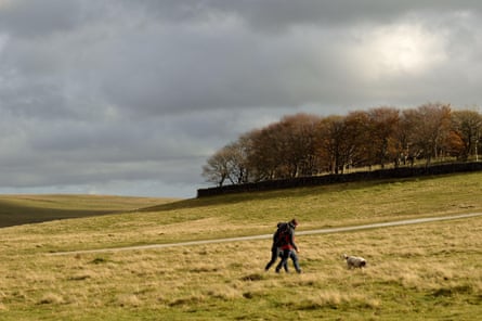 Two people walking on a moor with a dog - trees in mid distance