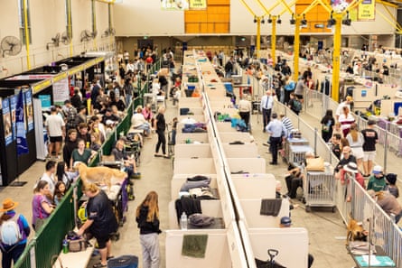 Owners and handlers prepare their dogs