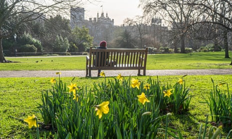 A woman sitting on a bench in St James's park, central London, in the mid-distance with daffodils blooming in the foreground.
