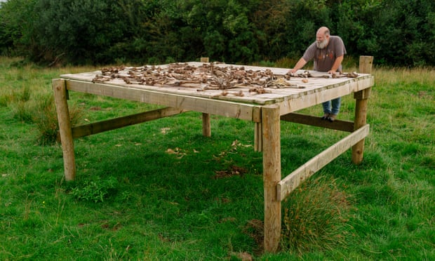 Guess who’s coming to dinner? Roadkill placed on ‘sky tables’ to lure rare birds of prey Derek Gow lays out dead livestock on his ‘sky table’ for predatory birds to feed on at his rewilding farm in Devon. Photograph: Jim Wileman/The Observer