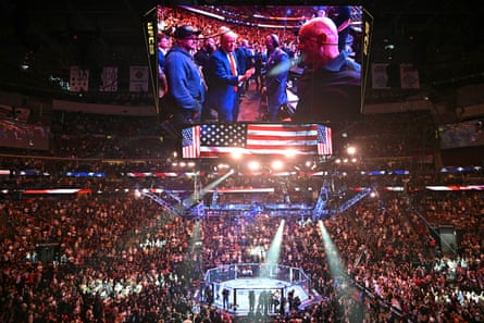 inside a fighting arena