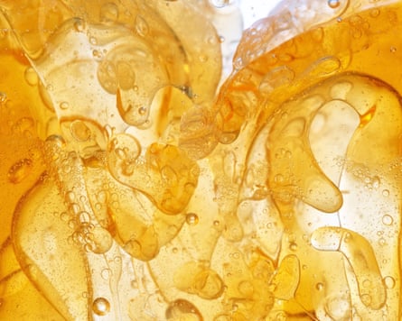 The Guardian Explores Fat's Complex Role in Our Health