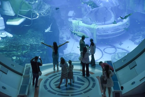 People watch a sand tiger shark and other fish at an aquarium.
