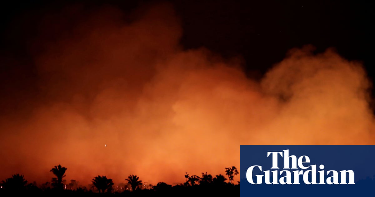 Amazon fires: why ecocide must be recognised as an international crime