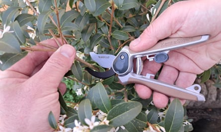Kent & Stowe Garden Life All Purpose Mini Secateurs 2