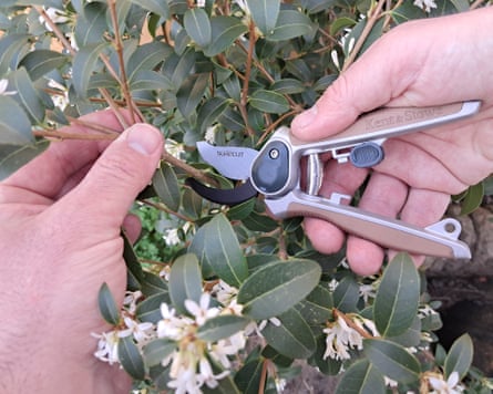 Kent & Stowe Garden Life All Purpose Mini Secateurs 2