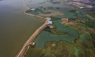 A picture taken with a drone shows farms next to the Yangtze River amid drought, on the outskirts of Jiujiang, Jiangxi Province, on 25 August 2022.