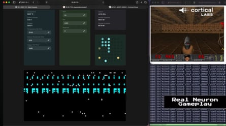 ‘A brain learnning in a very controlled environment’