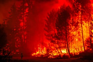 Firefighters battle a forest fire