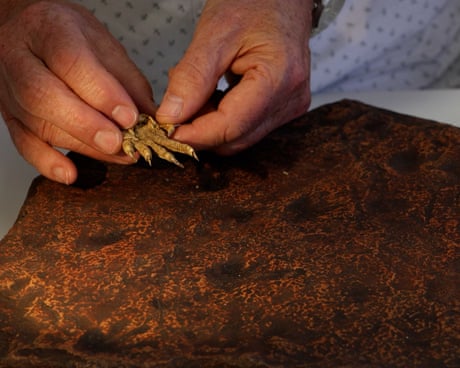 The fossilised claw prints are compared against a modern iguana foot