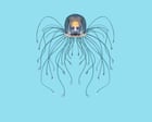 Jellyfish Turritopsis Dohrnii Achieves Biological Immortality