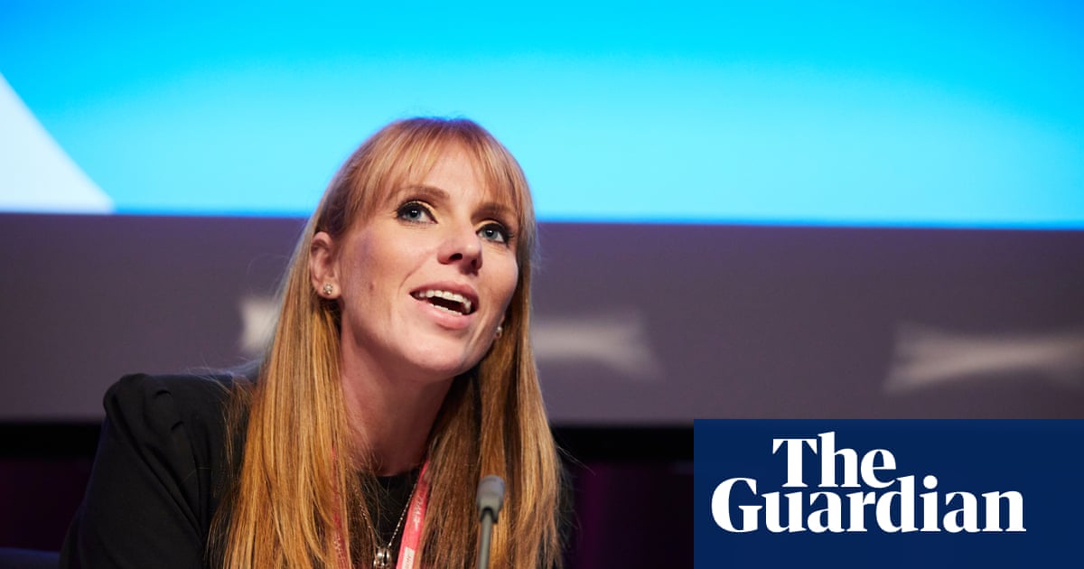 Ban anonymous accounts, Angela Rayner tells social media firms | Politics | The Guardian
