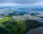 How the world’s voracious appetite for shrimp is destroying Ecuador’s mangroves