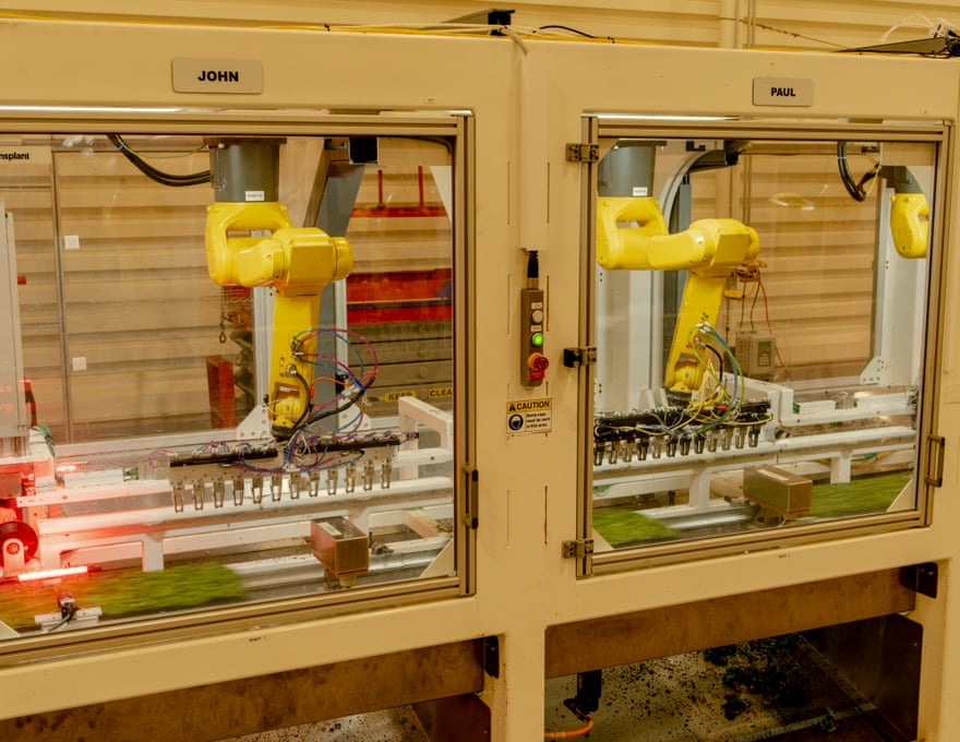 Yellow robots above green plants zooming by on a conveyor belt