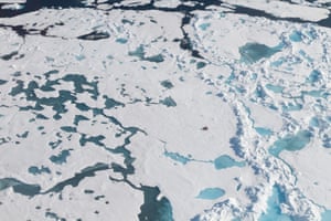 Samples were also taken from ice floes in the ocean between Greenland and Svalbard