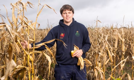 Will Oliver at his family farm surrounded by maize crops