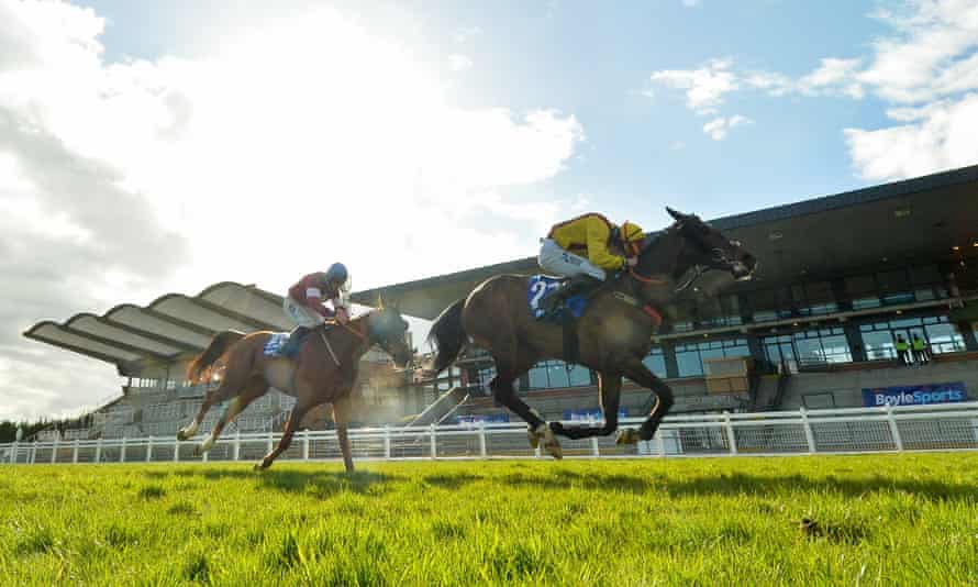 Freewheelin Dylan (right) appears unlikely to repeat his fairytale 150-1 success in the Irish Grand National.
