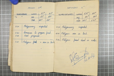 The midshipman’s log showing temperatures before the death of Winston the platypus